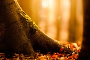 世界登山青年导师长期跟踪数据库科研成果征稿启事，世界登山队排名